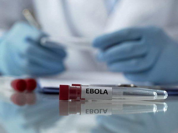 Ölkəmizdə Ebola riski varmı? - Rəsmi açıqlama