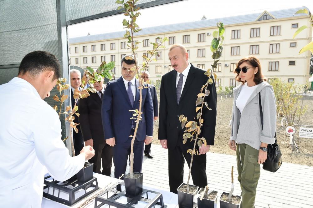 Prezident İlham Əliyev və birinci xanım Mehriban Əliyeva Quba rayonuna səfər ediblər - YENİLƏNİB - FOTO