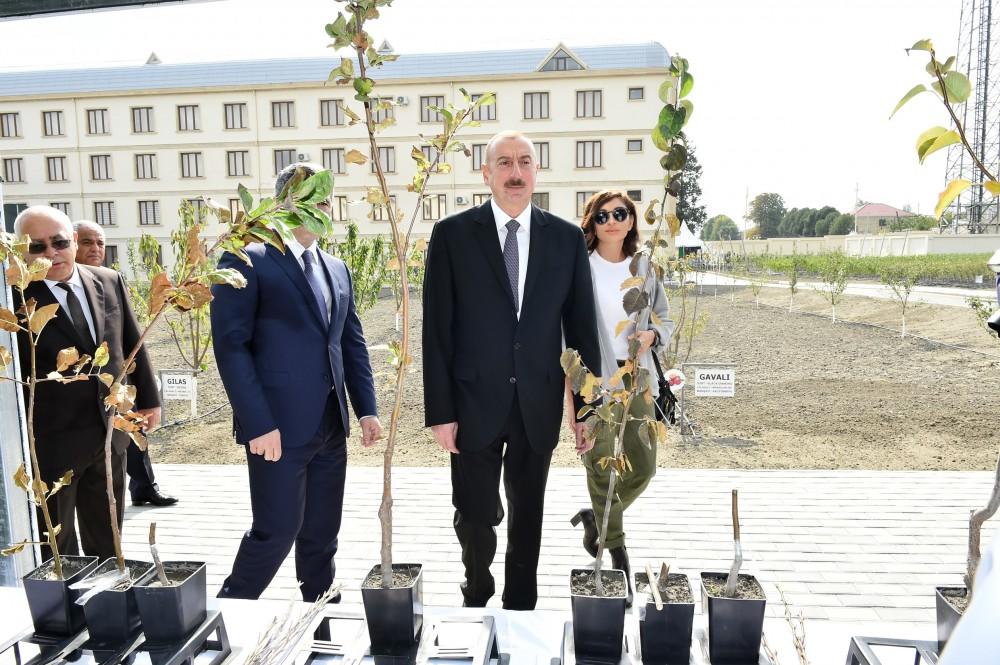 Prezident İlham Əliyev və birinci xanım Mehriban Əliyeva Quba rayonuna səfər ediblər - YENİLƏNİB - FOTO
