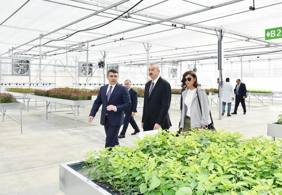 Prezident İlham Əliyev və birinci xanım Mehriban Əliyeva Quba rayonuna səfər ediblər - YENİLƏNİB - FOTO