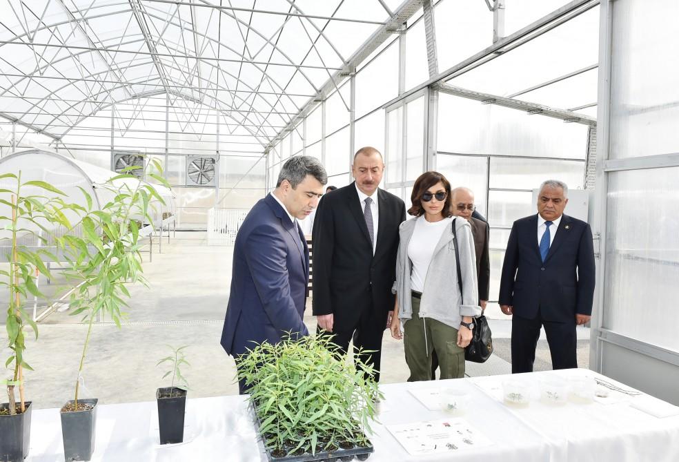 Prezident İlham Əliyev və birinci xanım Mehriban Əliyeva Quba rayonuna səfər ediblər - YENİLƏNİB - FOTO