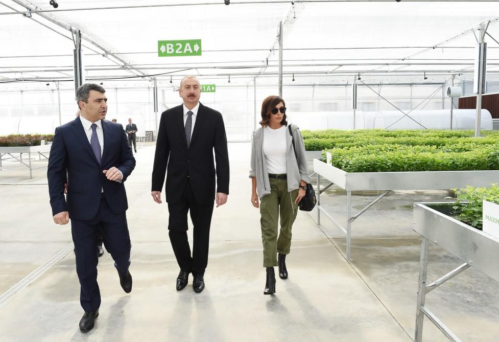 Prezident İlham Əliyev və birinci xanım Mehriban Əliyeva Quba rayonuna səfər ediblər - YENİLƏNİB - FOTO