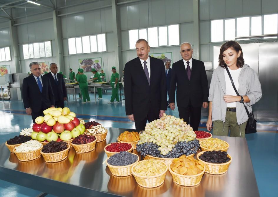 Prezident İlham Əliyev və birinci xanım Mehriban Əliyeva Quba rayonuna səfər ediblər - YENİLƏNİB - FOTO