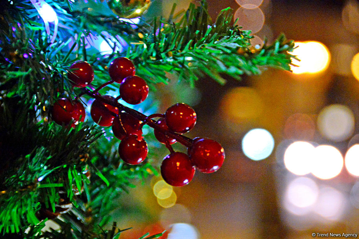 Bayram ab-havalı Bakı - FOTOSESSİYA