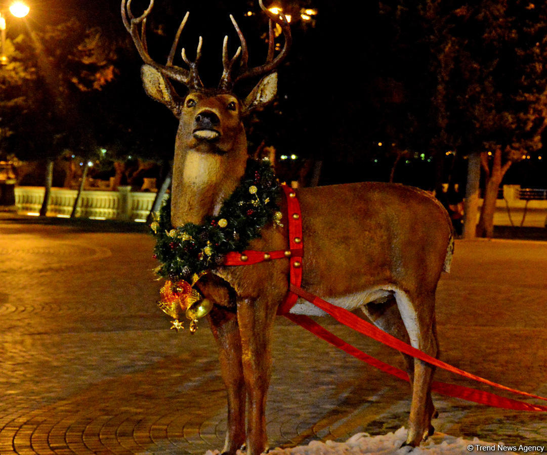 Bayram ab-havalı Bakı - FOTOSESSİYA