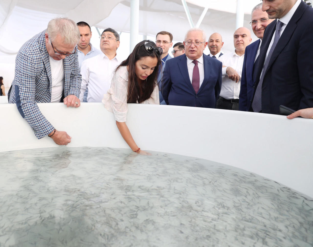 Leyla Əliyeva Neftçaladakı Xıllı nərə balıqartırma zavodunda yetişdirilmiş körpə nərə balıqlarının Xəzərə buraxılması mərasimində iştirak edib - FOTO