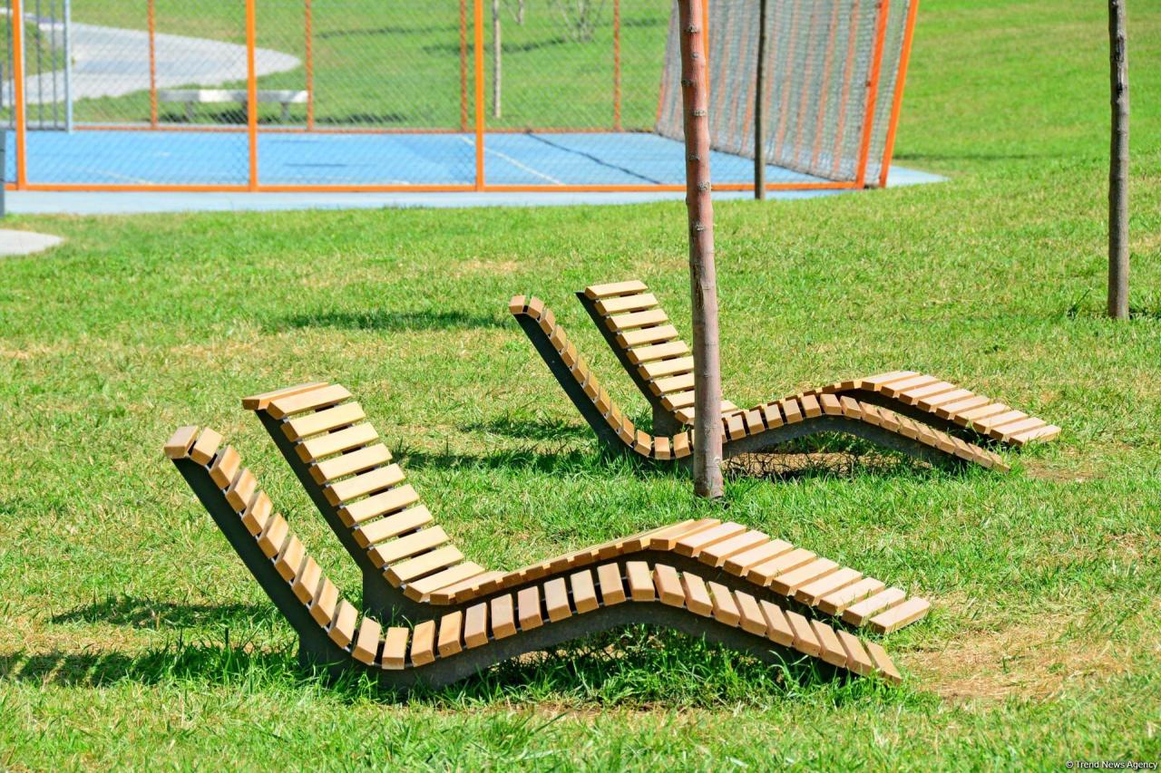 Bakının daha bir siması - Mərkəzi Park - FOTO