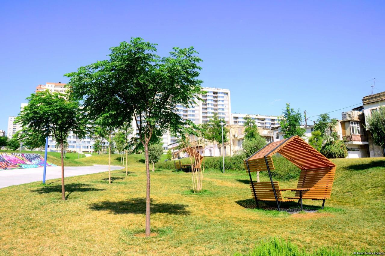 Bakının daha bir siması - Mərkəzi Park - FOTO