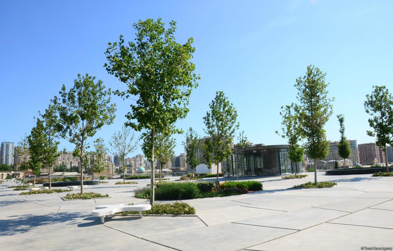 Bakının daha bir siması - Mərkəzi Park - FOTO