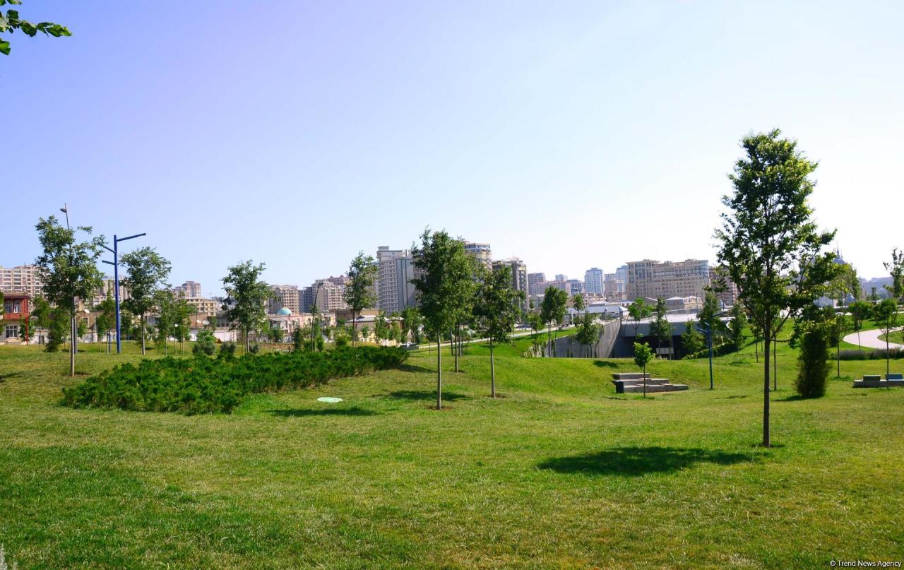 Bakının daha bir siması - Mərkəzi Park - FOTO