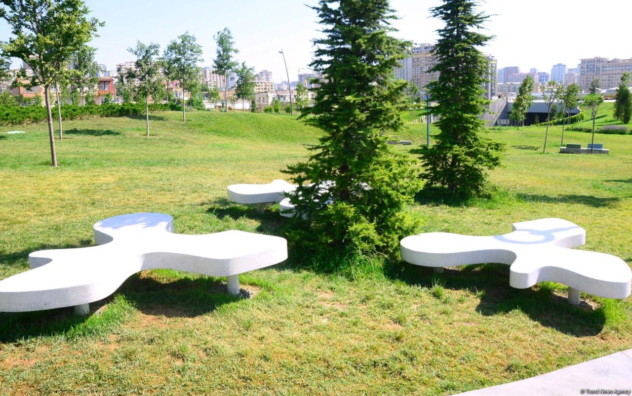 Bakının daha bir siması - Mərkəzi Park - FOTO