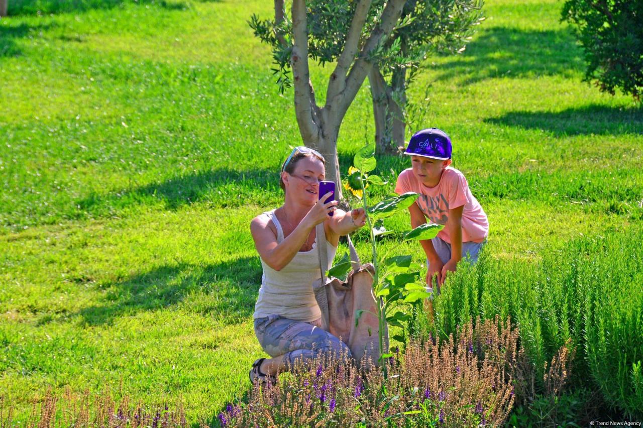 Bakının daha bir siması - Mərkəzi Park - FOTO