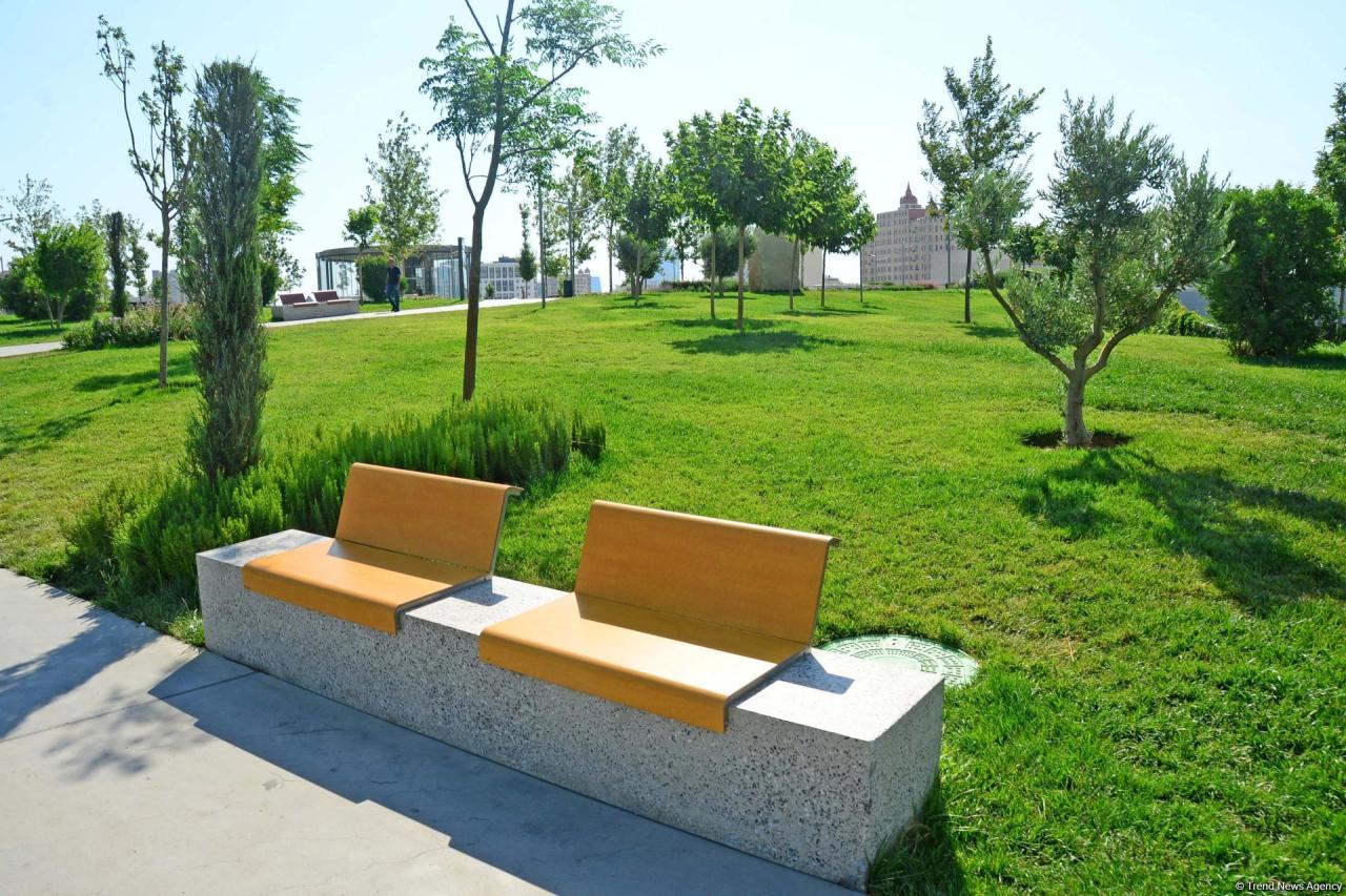 Bakının daha bir siması - Mərkəzi Park - FOTO