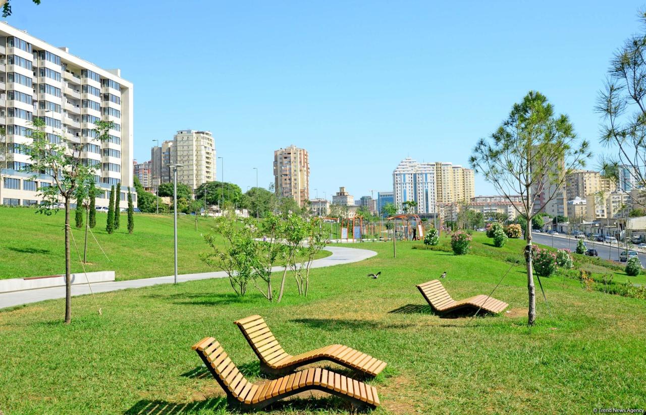 Bakının daha bir siması - Mərkəzi Park - FOTO
