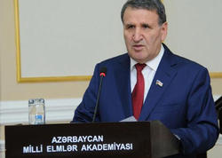 İsa Həbibbəylinin baldızının oğlu ilə bağlı şok məlumat - <span class="color_red">FOTO</span>