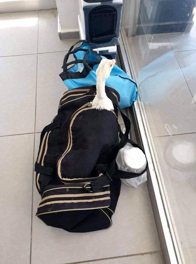 Avtobusda KURYOZ HADİSƏ - Unudulan çantadan görün nə çıxdı? - FOTO