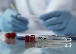 ÜST-dən Ebola ilə bağlı XƏBƏRDARLIQ: Yoluxanların sayı kəskin artır