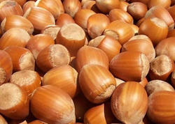 Fındıq bahalaşacaq