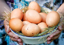 Yumurta niyə bahalaşır?  - AÇIQLAMA