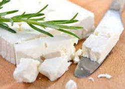 Pendirin yanına bir dənə qoysaz, aylarla nə kifləyəcək, nə də quruyacaq