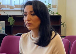 Ombudsman azərbaycanlılara qarşı zorakılıqla bağlı Rusiya tərəfinə məktub ünvanladı
