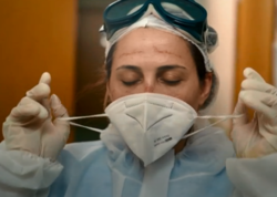 Yeni yarasa koronavirusu tapıldı - Alimlər xəbərdarlıq etdi