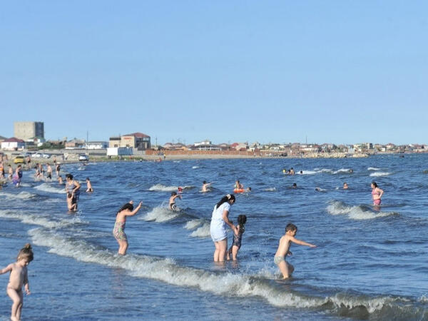 Azərbaycanda qadın QHT sədri dənizdə bu canlı ilə üz-üzə qaldı, dəhşət yaşadı - <span class="color_red">FOTO</span>