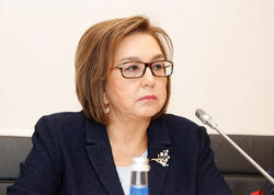 &quot;Sosial mediada nəsə yazmaqla insan ekspert hesab olunmur&quot;