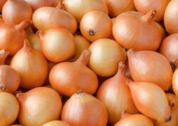 İstehsalı var, bazarı yox dərəcəsində - Səbəb NƏDİR?