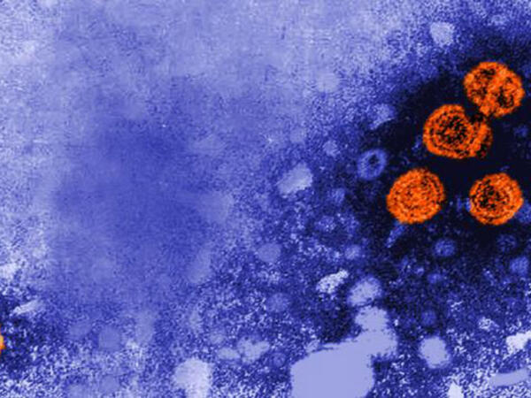 Hepatitlə bağlı diqqətçəkən statistika: Ötən illə müqayisədə azalma var
