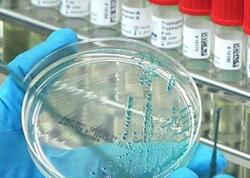 “Virus hələ də bizimlədir” – Səhiyyə Nazirliyi xəbərdarlıq edir