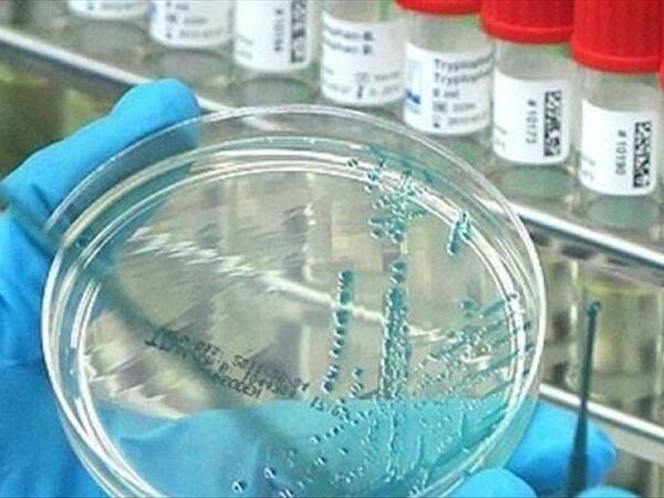 “Virus hələ də bizimlədir” – Səhiyyə Nazirliyi xəbərdarlıq edir