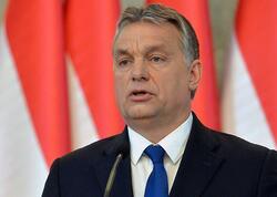 İlkin nəticələr açıqlandı: Orban uduzur