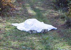 Göygöldə 40 yaşlı kişini öldürməkdə şübhəli bilinən şəxs saxlanılıb