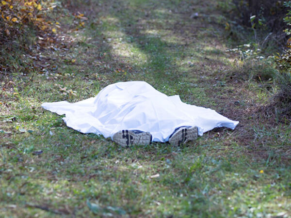 Göygöldə 40 yaşlı kişini öldürməkdə şübhəli bilinən şəxs saxlanılıb