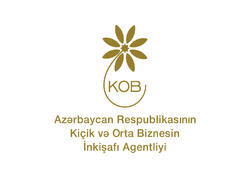 İsveçrədə KOBİA-nın təşəbbüsü ilə Bakı İqlim Koalisiyasının təqdimatı keçirilib - <span class="color_red">FOTO</span>
