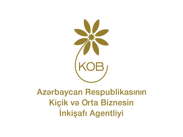 İsveçrədə KOBİA-nın təşəbbüsü ilə Bakı İqlim Koalisiyasının təqdimatı keçirilib - <span class="color_red">FOTO</span>