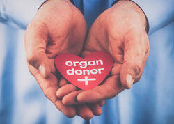 Hazırda Azərbaycanda mindən çox şəxs orqana ehtiyac duyur