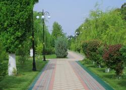 Şəhərin ortasında avtomobillərə QADAĞA - Yeni yaşıl zona necə olacaq?