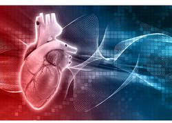 3 min insanın nə yeyib-içdiyini illərlə izlədilər - Ürəyi yormayan qidalar açıqlandı