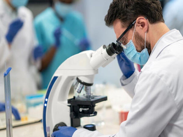 Sayır, hadisələri qeyd edir: Üstəlik, bütün bunları "beyni" olmadan bacarır