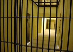 Qəddafinin oğlu bu şərtlə azadlığa çıxdı