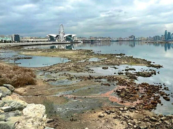 Xəzər dənizi geri çəkilir