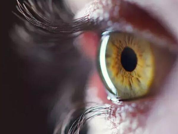 Görmə qabiliyyətini bərpa etmək üçün yeni üsul tapıldı