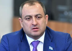 Adil Əliyev haqqında yayılan məlumatlara münasibət bildirdi