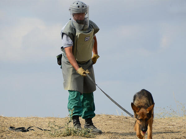 ANAMA-nın əməkdaşı vəfat etdi - <span class="color_red">FOTO</span>