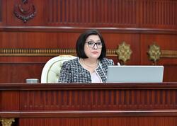 Sahibə Qafarova Serbiyaya işgüzar səfərə gedib