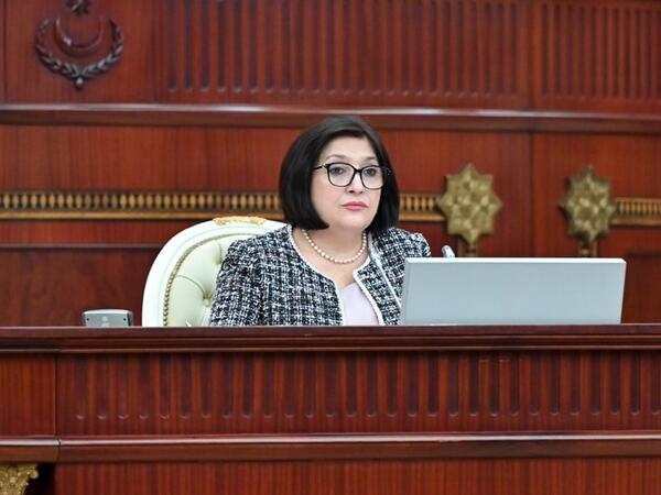 Sahibə Qafarova Serbiyaya işgüzar səfərə gedib