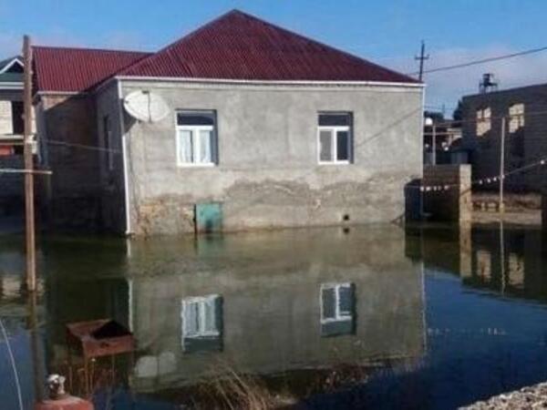 Evinizi su basanda bu səhvi etməyin