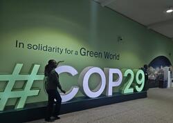 Bakı dünyanın mərkəzində: COP29 başlandı